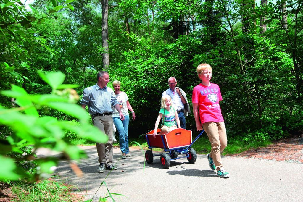 Отель Natuurpark De Witte Bergen Rouveen Номер фото